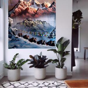 Towering Peaks and Yaks